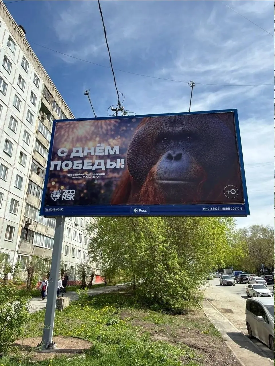 1778311584609.webp