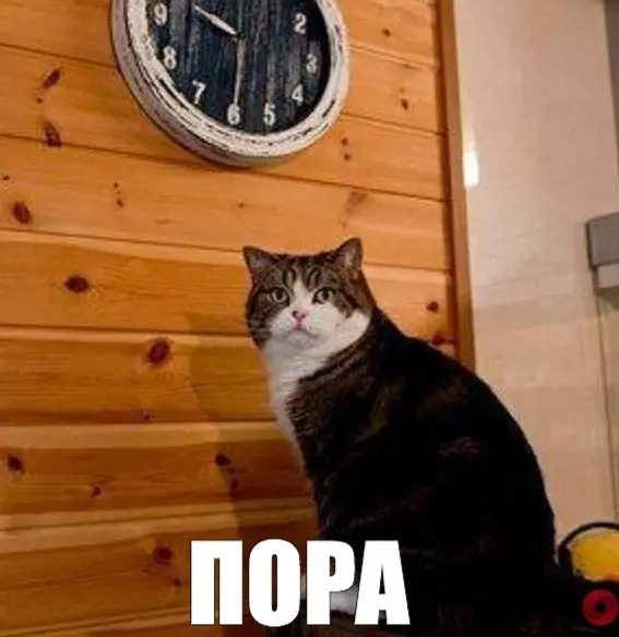 1778519405310.webp