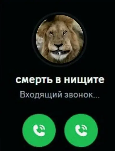 1778569383648.webp