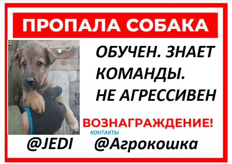 1778598387658.webp