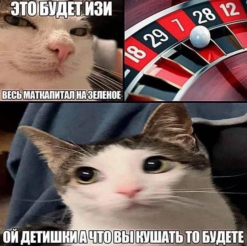 1778658450827.webp