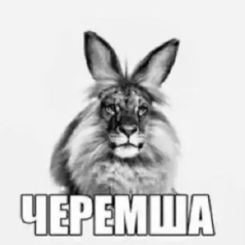 1778658500792.webp
