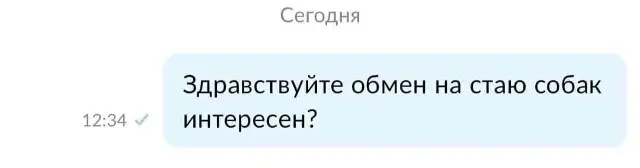 1778967414591.webp