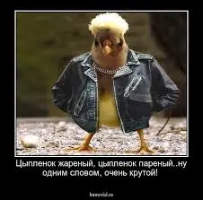 1779712513027.webp