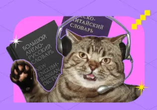 1780073820933.webp
