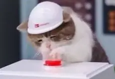 1780322484023.webp