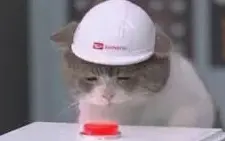 1780322494736.webp