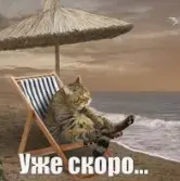 1780677528460.webp