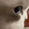 1780758442651.webp