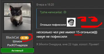 1780911372313.webp