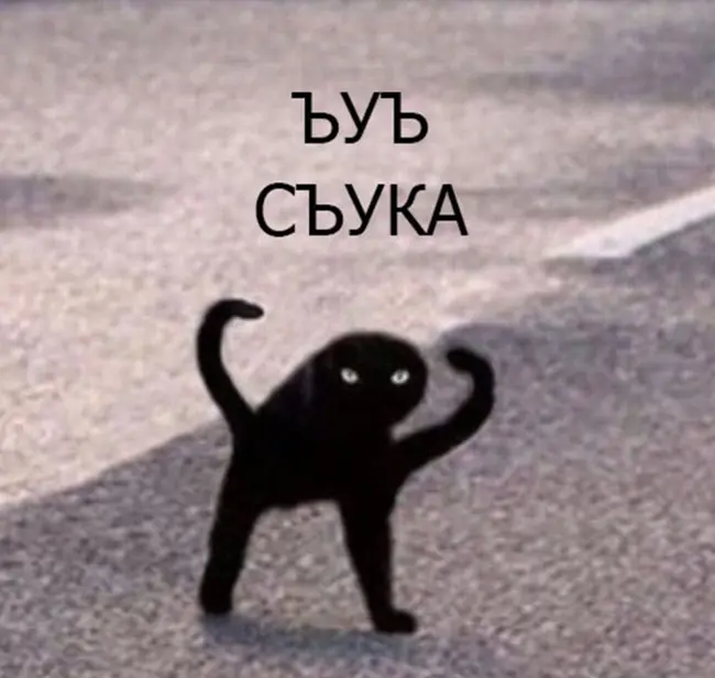1781464206413.webp