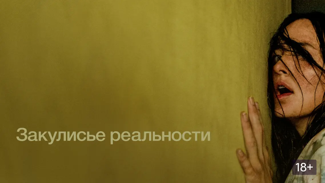 1781563767854.webp