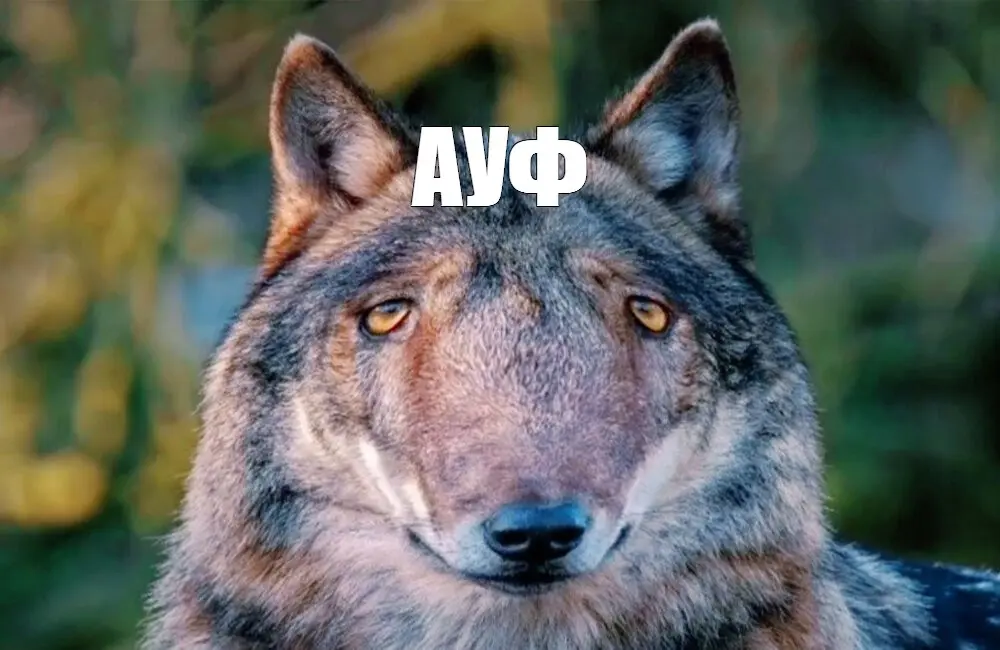 1781689428971.webp