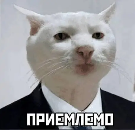 1781810623194.webp