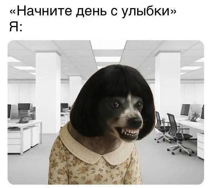 1782291969893.webp