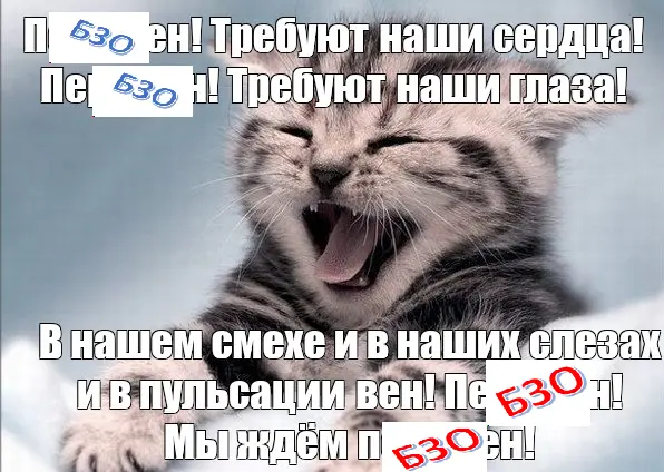 1782597658597.webp