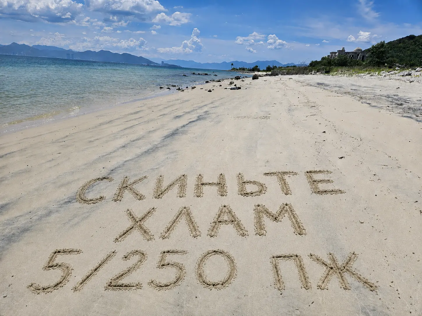 1782748273742.webp