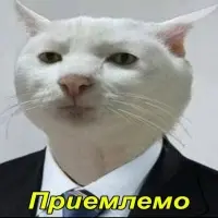 1782852383523.webp
