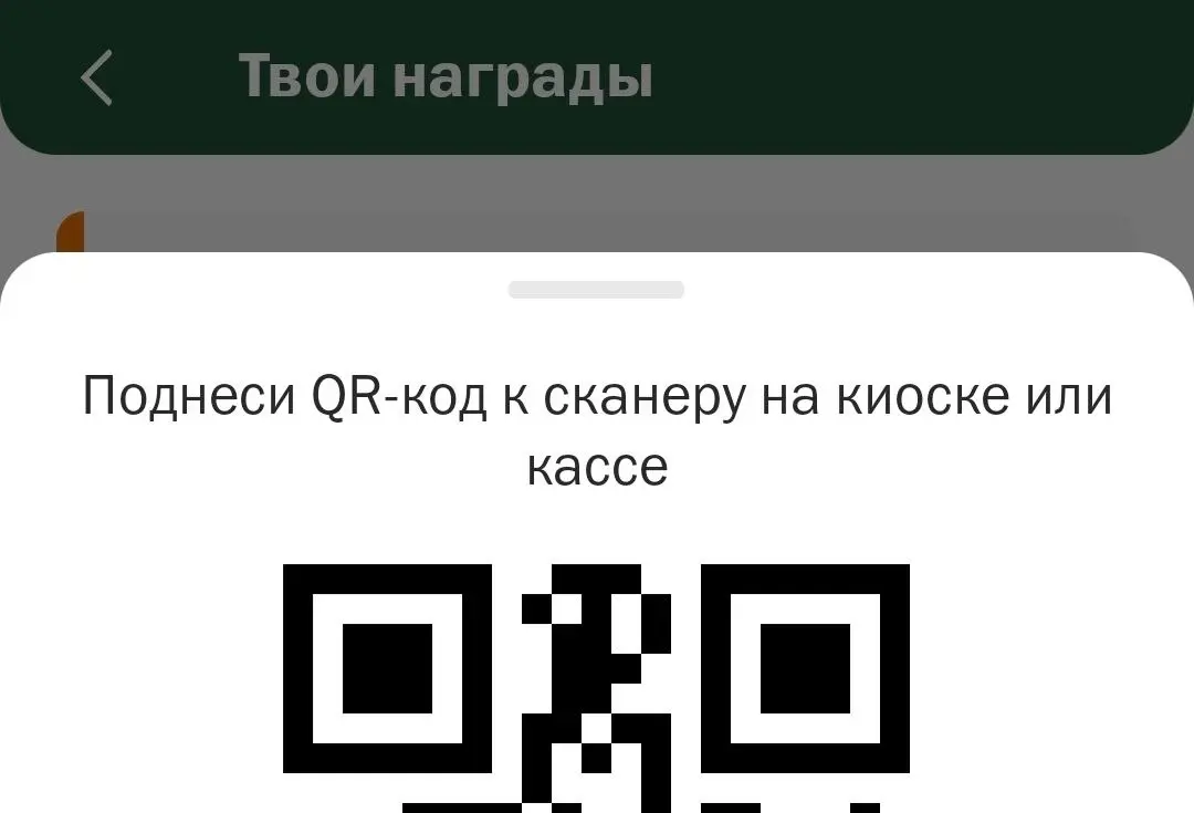 1783068995252.webp