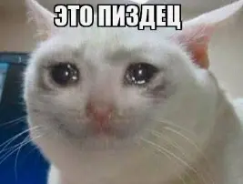 1783591958471.webp