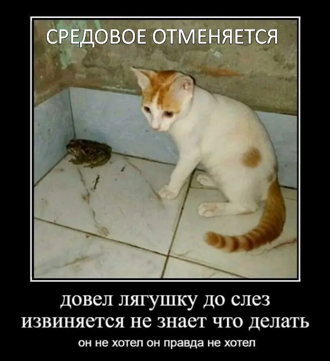1783600223666.webp