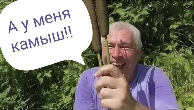 1783704320403.webp