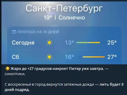 1784302256017.webp