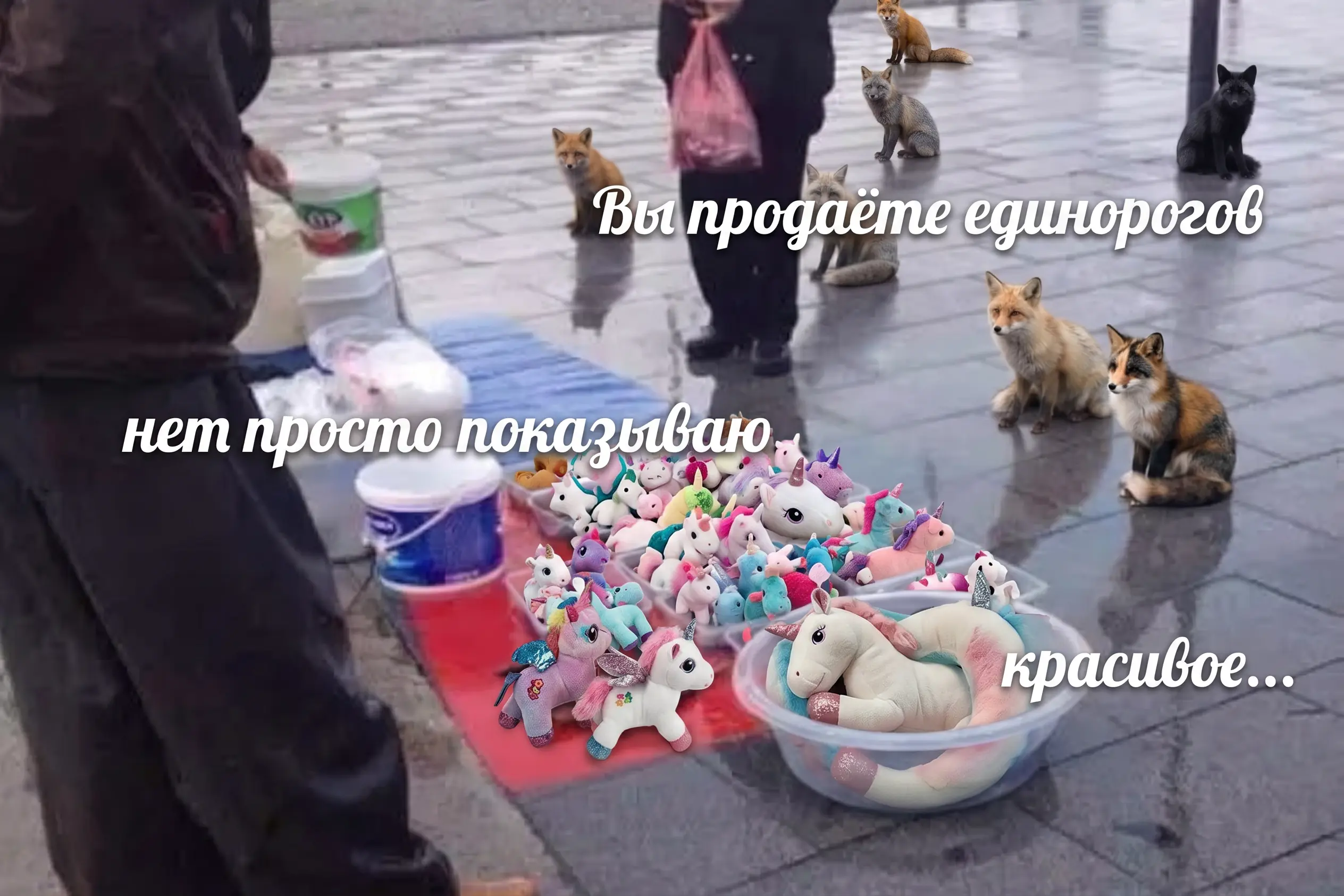 1784633280731.webp