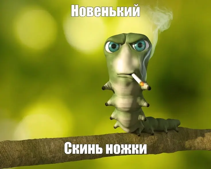 1784635378644.webp