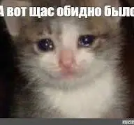 1784923147748.webp
