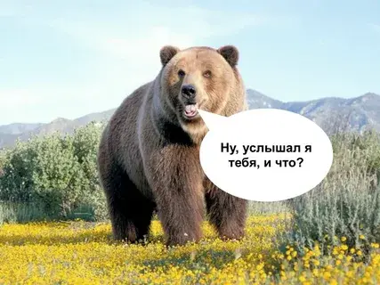 1784979159484.webp