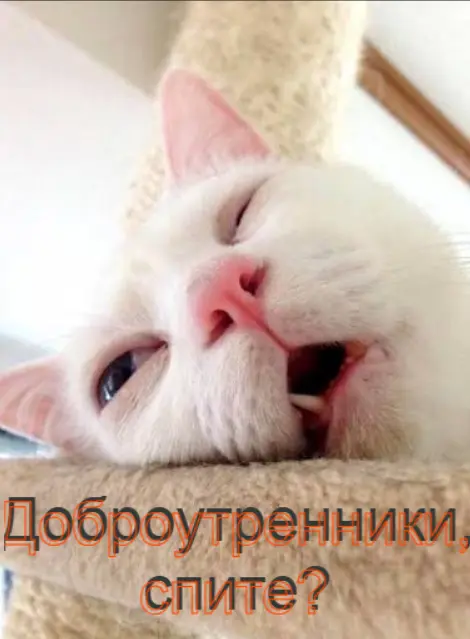1785213216639.webp