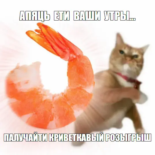 1785218814159.webp