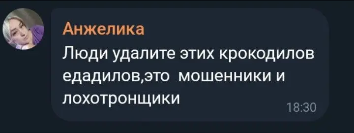 1785429329106.webp