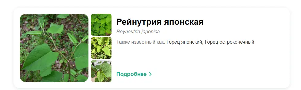 1785667313894.webp