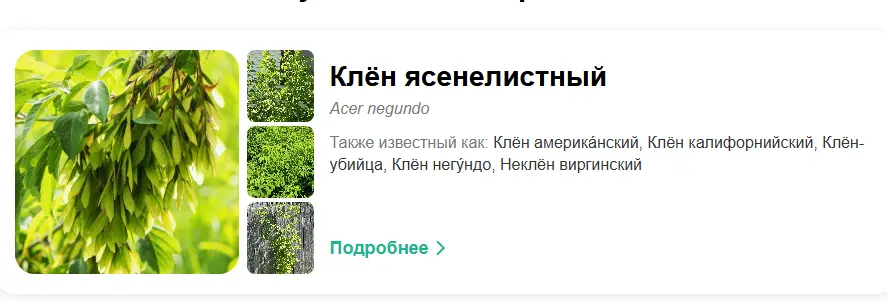 1785667324807.webp