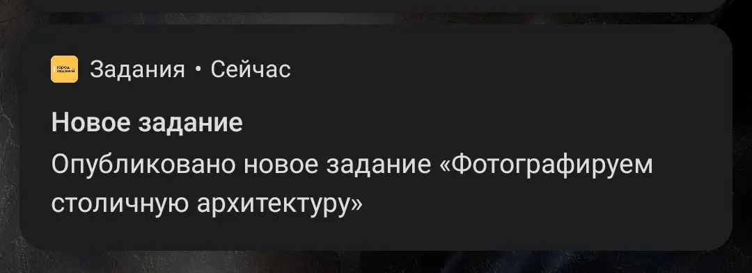 1785844759517.webp