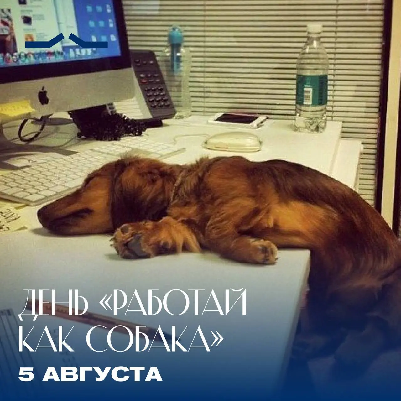 1785928192180.webp