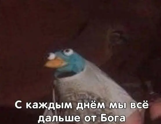 1786047921727.webp