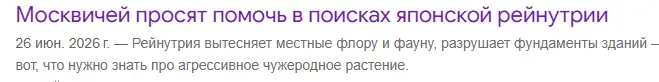 1786120910486.webp