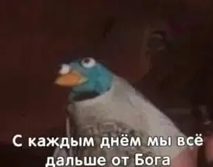 1786140786603.webp