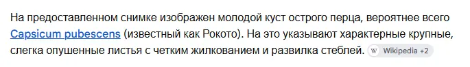 1786568040876.webp