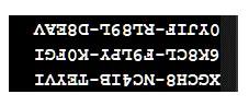 1786596867328.webp