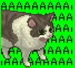 1786658993177.webp