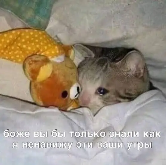 1786775783397.webp