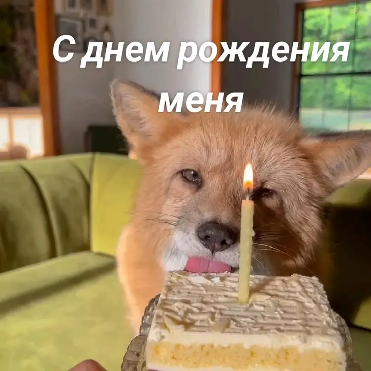 1786953520944.webp