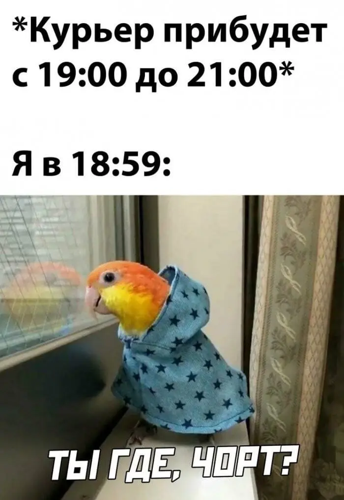 1787467793465.webp
