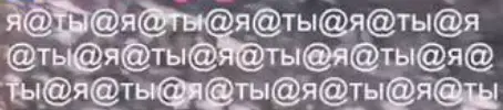 1787510650069.webp