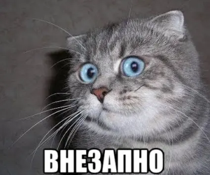 1787513754748.webp
