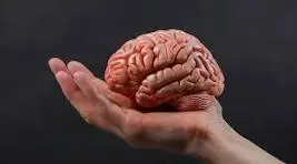 1788207196963.webp